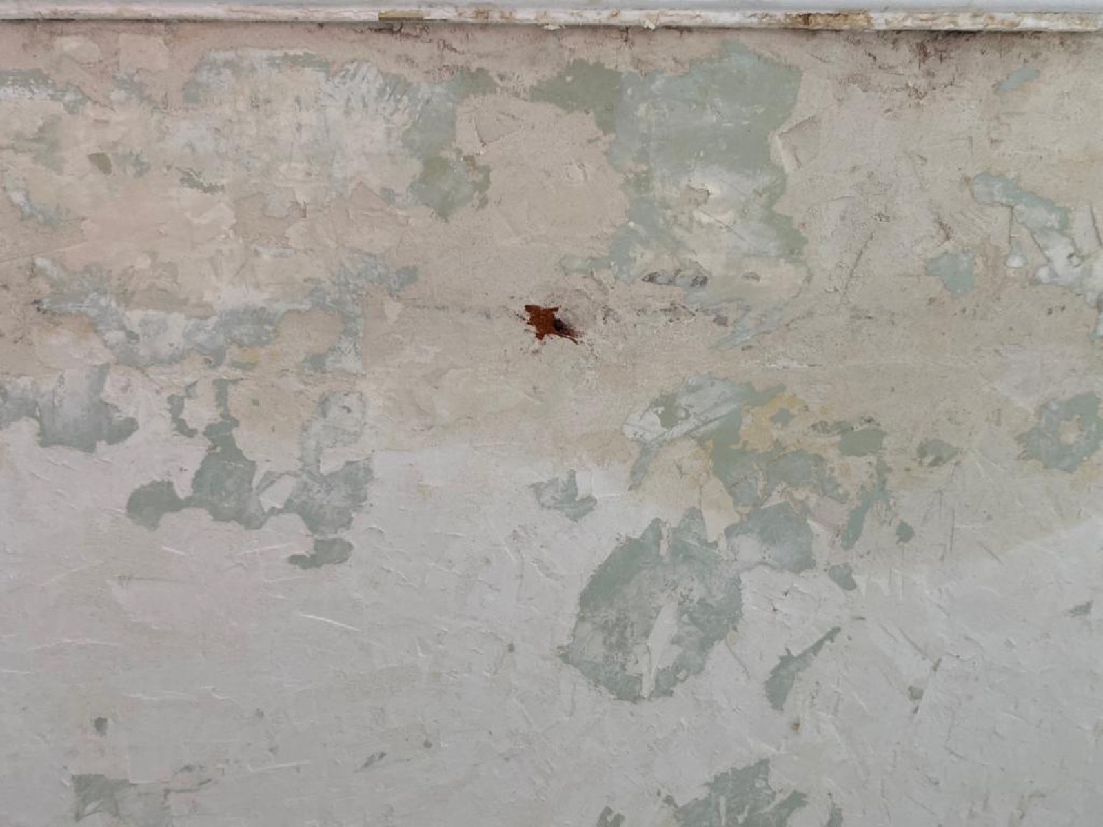 Mur extérieur dont l’enduit se décolle